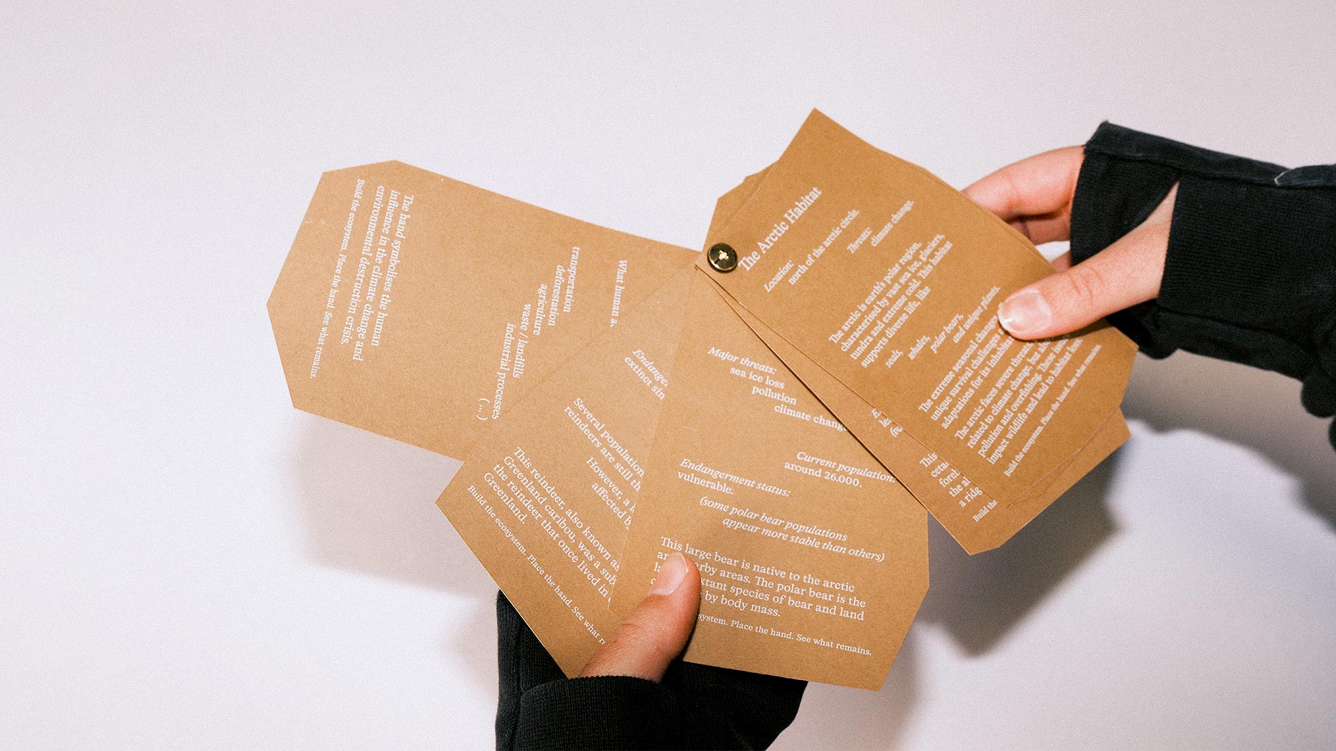 LTPB_Hando_Packaging-03