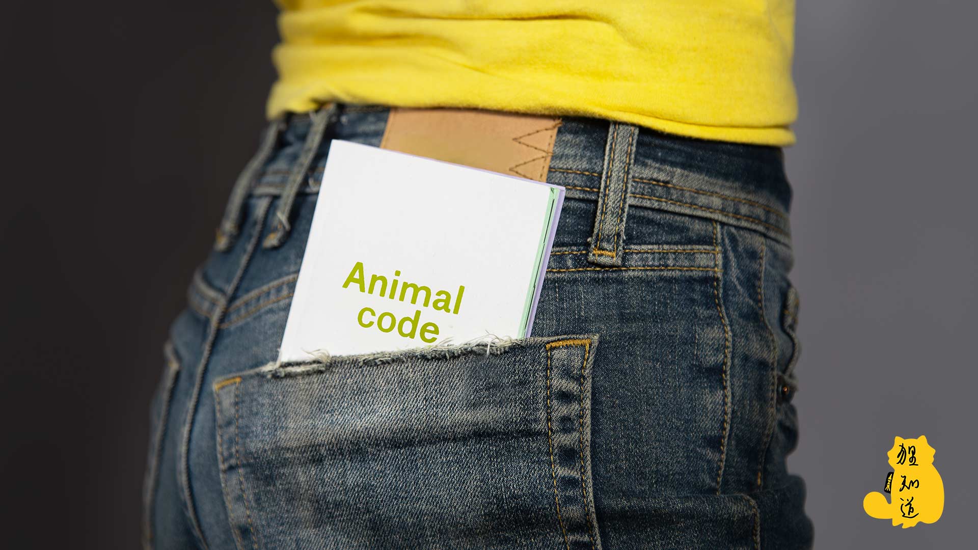 AnimalCode_01